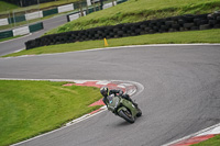 Lower Group Green Bikes